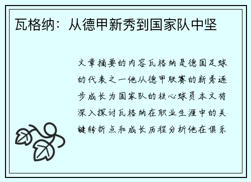 瓦格纳：从德甲新秀到国家队中坚