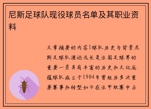 尼斯足球队现役球员名单及其职业资料