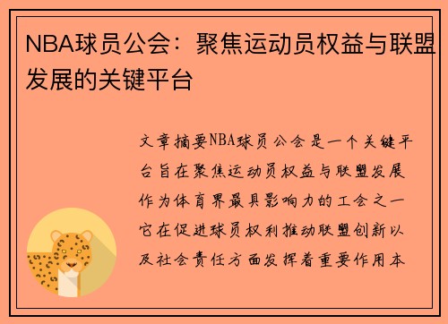 NBA球员公会：聚焦运动员权益与联盟发展的关键平台